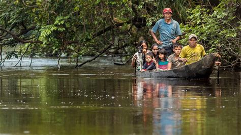 Forests and Biodiversity Need Indigenous Stewardship • The Revelator