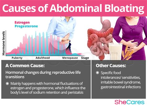 What Causes Bloating And Gases - PELAJARAN