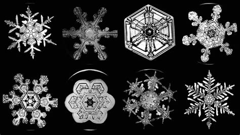 Look at snowflakes under the microscope - Rs' Science