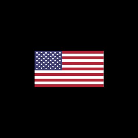 American Flag 2 Variations Svg Png Vector for Cricut - Etsy