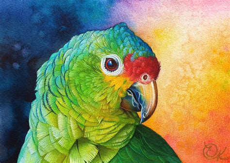 Amazon Parrot Original Painting, Bird Watercolour Portrait, Bird Art A5 | Watercolor portraits ...