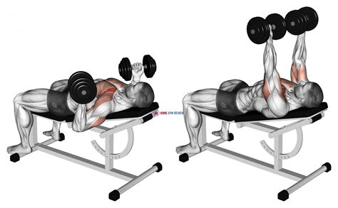 Dumbbell Incline reverse-grip 30 degrees bench press - Home Gym Review