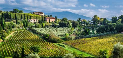 Discover Tuscany Region’s Wines – The Most Popular Italian Wines – Wine ...