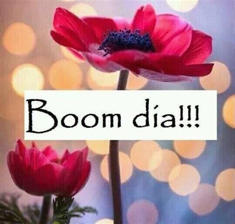 Bom Dia amor - ImagensBomDia.net