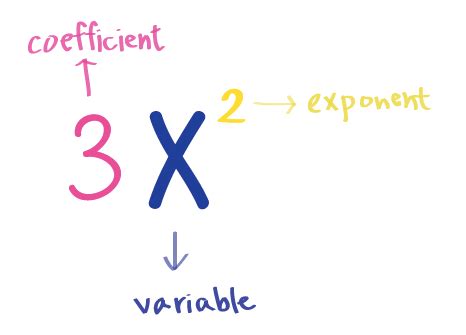 Factoring Monomials - Examples & Practice - Expii