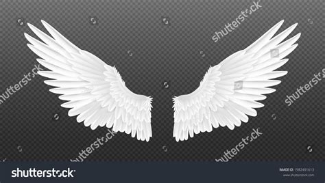 Realistic Angel Wings White Isolated Pair Stock Vector (Royalty Free) 1582491613 | Shutterstock