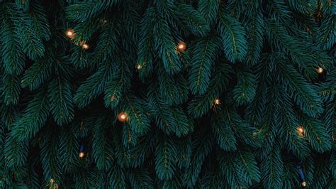 Download wallpaper 1920x1080 tree, garland, new year, christmas, holidays full … | Christmas ...