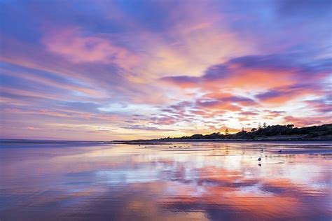 Purple Sunrise at the Beach Photograph by Ethan Brooke - Fine Art America