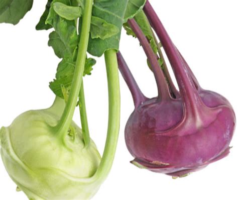 Kohlrabi Slaw | Red Dog Farm