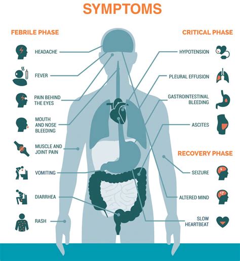 Dengue - Signs and Symptoms - Dr Lal PathLabs Blog