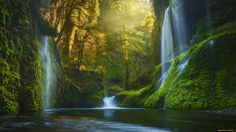 19 Forest Waterfall Wallpapers - Wallpaperboat