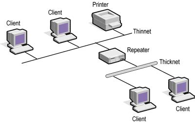 Computer Networking (Cisco + Microsoft): Part 15- What is Repeater (Networking Devices ...