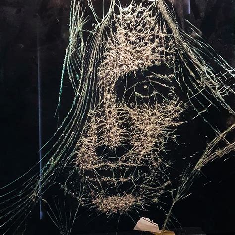 Shattered Glass Portraits by Simon Berger | Puppies and Flowers