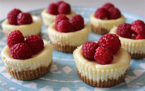 Cheesecake Bites Recipe - TGIF - This Grandma is Fun