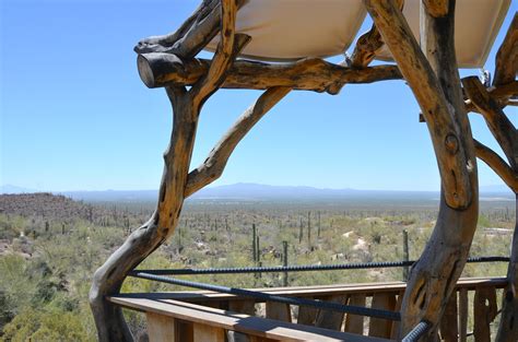 Arizona-Sonora Desert Museum, Tucson, AZ Family Travel - Brie Brie Blooms