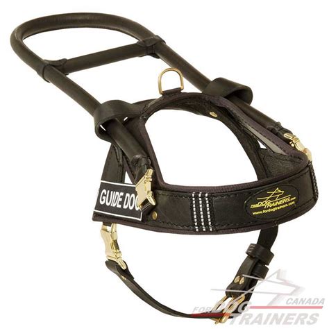 Get Guide Assistance Leather Dog Harness | Canadian Pet Store