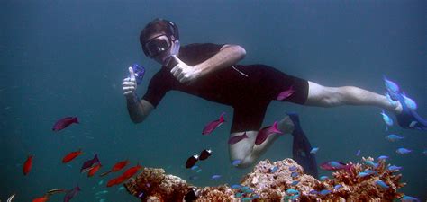 Bahamas Adventure Snorkel | Bahamas Snorkeling Tours