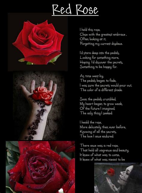 Red Rose Poems And Quotes. QuotesGram | Rose poems, Roses are red poems, Rose quotes