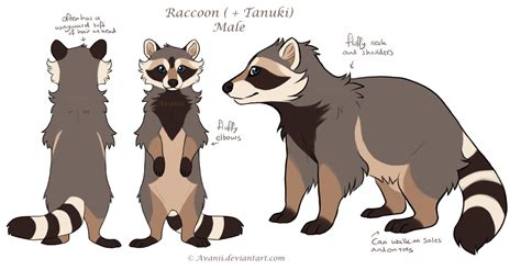 Design Commission Coonuki by Avanii on DeviantArt