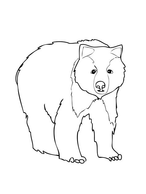 Printable Brown Bear Brown Bear Coloring Pages