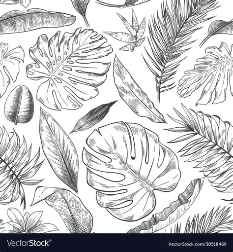 Hand drawn tropical leaves pattern sketch drawing Vector Image