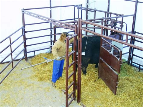 HiQual Classic Calving Pen | Sioux Steel Company