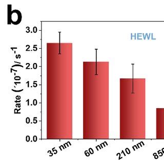 (a) Hydrolysis of HEWL by 850 nm MOF-808 followed by Coomassie blue... | Download Scientific Diagram