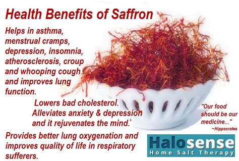 Saffron Flower Benefits | Best Flower Site