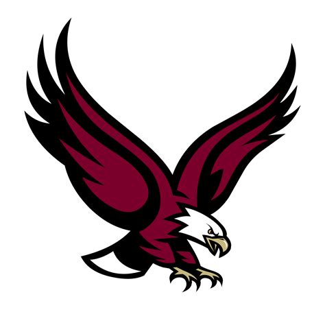 Eagle vector png, Eagle vector png Transparent FREE for download on ...