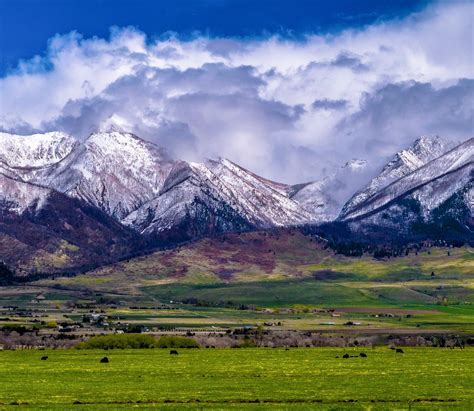 Billings, the largest city in Montana, is often overshadowed by its famous neighbor, Yellowstone ...