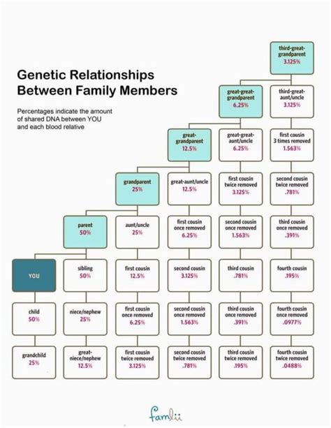 How Much DNA Do Family Members Share? (With Cousin Relationship Chart) - Famlii