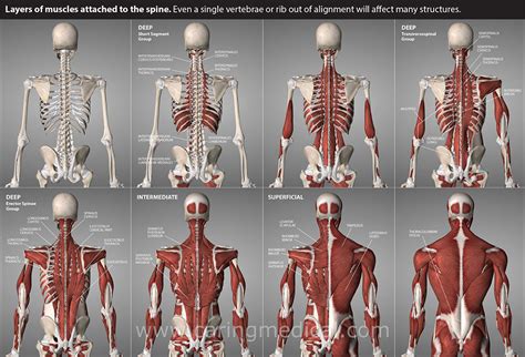 Slipping rib syndrome