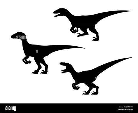 Velociraptor dinosaur silhouette set. Vector illustration group black silhouette dinosaur ...