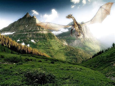 Flying Dragon Wallpapers - Wallpaper Cave