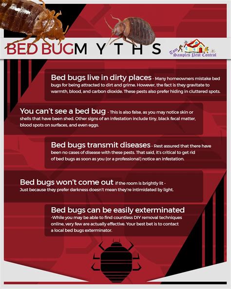 Effective Strategies for Bed Bug Eradication: A Guide for Homeowners - Huffington News