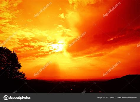 Tree Silhouette Orange Sunset Background Stock Photo by ©magann 207278686