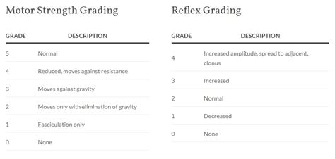 Reflex Chart Grading