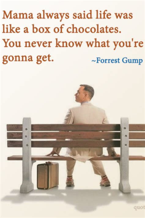 Forrest Gump Life Is Like A Box Of Chocolates Quote - Hester Alejandrina