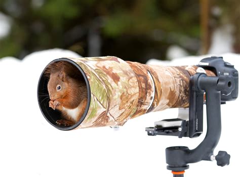 Literal Wildlife Photographers: 19 Photos of Animals Getting Cozy with Camera Gear - 500px