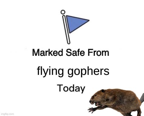 gopher Memes & GIFs - Imgflip