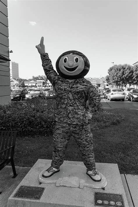 Brutus Buckeye statue in army fatigues at Ohio State University in black and white Photograph by ...