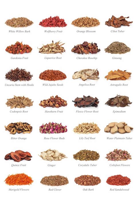 chinese herbs chart | Abacus Chinese Medicine