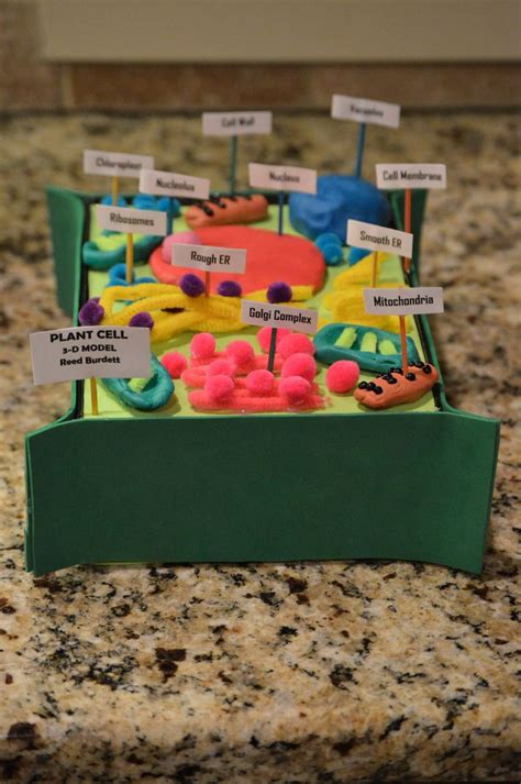 Creative Plant Cell Project Ideas