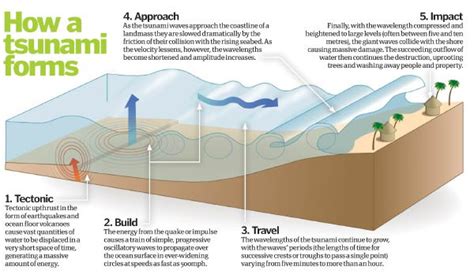 What Is a Tsunami? - Universe Today