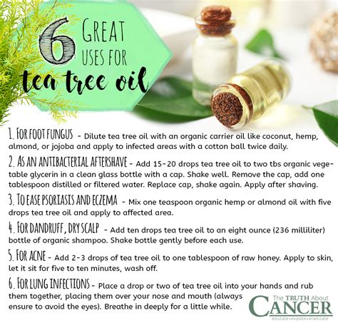 Top 10 Terrific Uses for Tea Tree Essential Oil