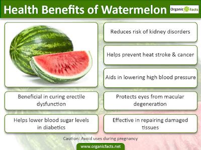 HEALTH BENEFITS OF WATERMELON