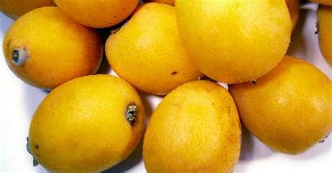 Loquat Tree Varieties | eHow UK