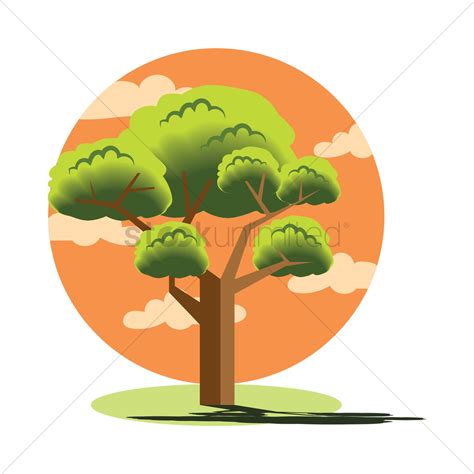 juniper trees - Clip Art Library