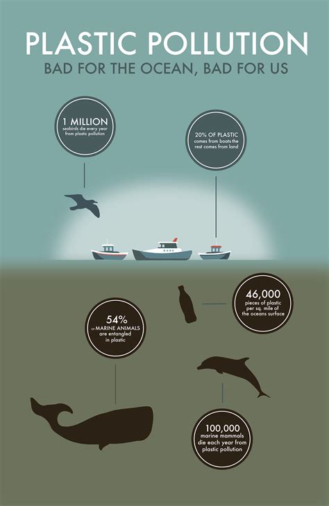 Plastic Pollution Infographic on Behance