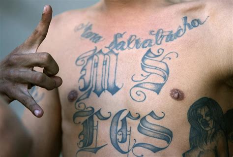 More than 20 MS-13 gang members arrested in early morning raids in Los Angeles | IBTimes UK